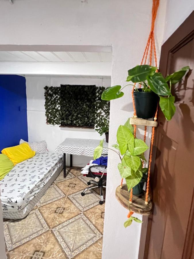 Hostel Bato'S Quepos Zewnętrze zdjęcie